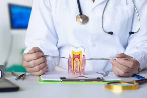 Best Emergency Dentist for Special Needs Patients in North Lakeport, CA